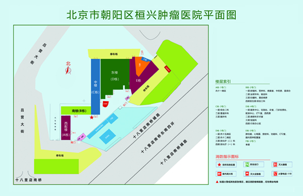 欧美男男激情交配青苹果视频北京市朝阳区桓兴肿瘤医院平面图